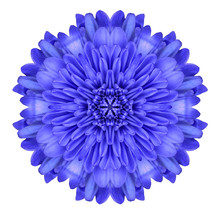 Blue Chrysanthemum Flower Kaleidoscope Isolated On White