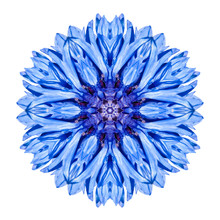 Blue Cornflower Mandala Flower Kaleidoscope Isolated On White
