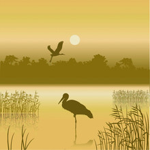 Vector Landscape With Two Birds And Reflexion In Water