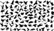 Set of 100 silhouettes of birds