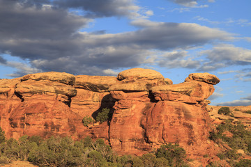 Wall Mural - Hoodoos in Canyonlands National Park