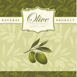 Vector olive oil.  For label, pack. Olive pattern.