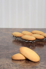 Wall Mural - giant lady finger cookies