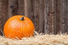 Pumpkin On Hay Against Rustic Wooden Background