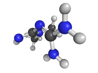 Wall Mural - Chemical structure of metformin