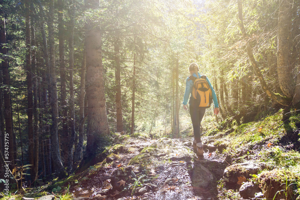 Woman hiking in the forest Stock Photo | Adobe Stock