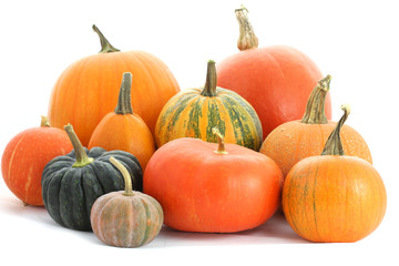 Wall Mural - pumpkins family