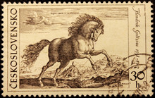 Goltzius Engraving Stamp