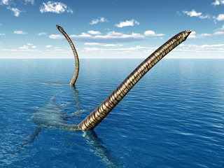 Plakat zwierzę morze podwodne zwierzę morskie