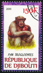 Poster - Common chimpanzee