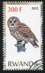 Sticker - Owl