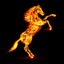 Fire Horse Rearing Up.