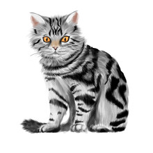 Vector Illustration Of Sitting Tabby Kitten