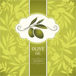 olive. Decorative olive branch. For label, pack. Olive pattern.