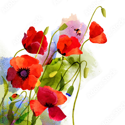 Naklejka dekoracyjna Watercolor poppy