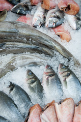 Fresh fish on ice decorated for sale at market, vertical shot