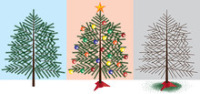 Christmas Tree Stages