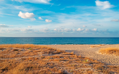 Wall Mural - sunset at the beach