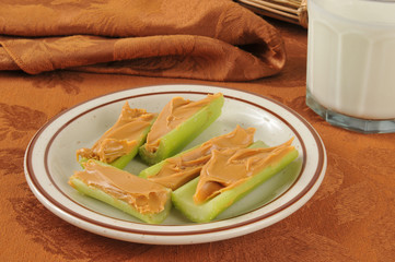 Sticker - Celery and peanut butter