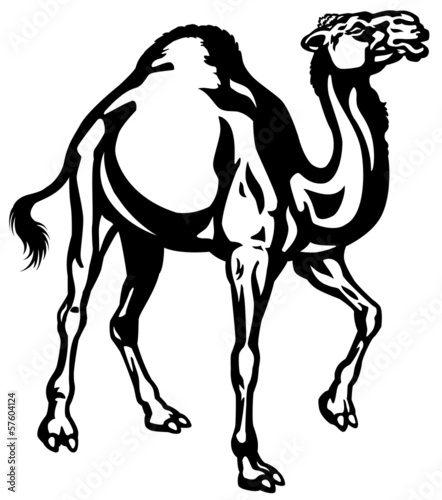 Naklejka na kafelki camel black white