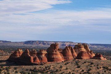 Wall Mural - Coyote buttes area