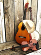 © Digital Storm - Stringed instruments ,country music background
