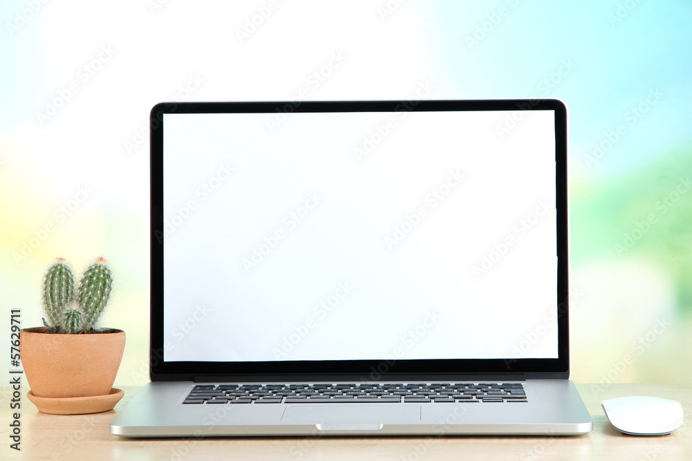 Laptop and cactus in flowerpot on wooden table