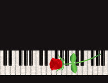 Piano Background With Red Rose Illustration