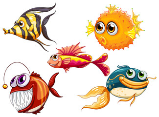 Poster - A group of sea creatures