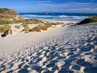 Sticker - Beach and dunes