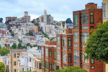Typical San Francisco Neighborhood, California