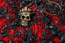 Skull With Black Spider On Bloody Red Background