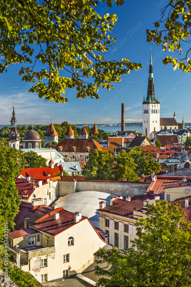 Obraz na płótnie Tallinn, Estonia Skyline w salonie