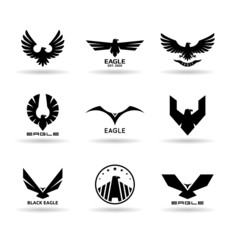 eagles (10)