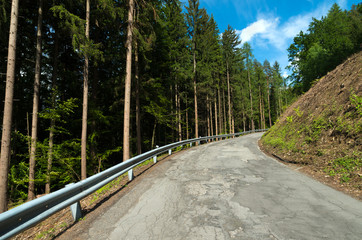 Wall Mural - mountain road