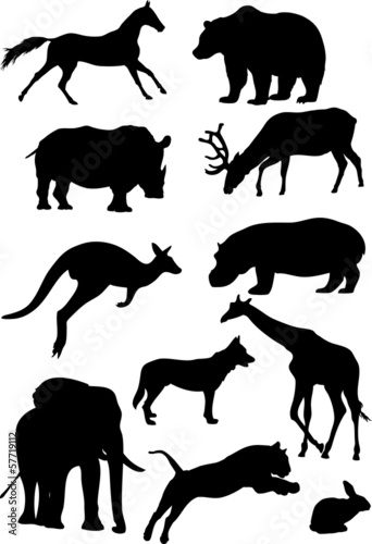 Nowoczesny obraz na płótnie Silhouettes of mammal