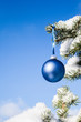 Christmas Bauble on a Pine Tree With Copy Space