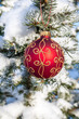 Christmas Bauble on a Pine Tree