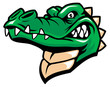 crocodille head mascot