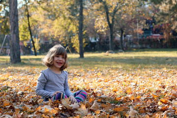 Wall Mural - happy beautiful little girl in autumn park