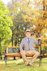 Wall Mural - Relaxed senior gentleman sitting on a bench in a park