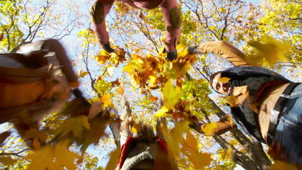 Poster - Falling Leaves