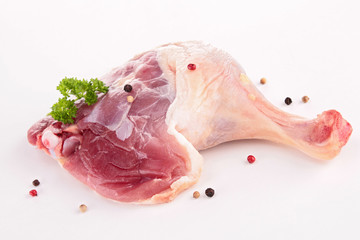 Sticker - isolated duck leg