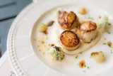 Fototapeta Maki - Grilled scallops on white plate
