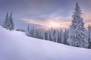 Poster - Beautiful winter landscape in the mountains. Sunset