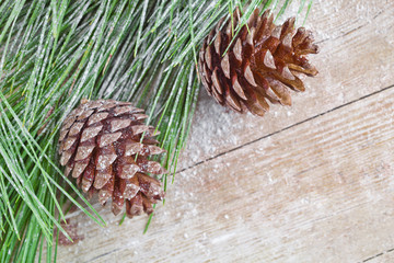 christmas fir tree with pinecones