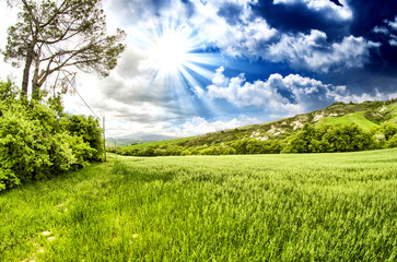 Sticker - Wonderful spring colors of Tuscany - Meadows and Hills