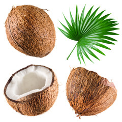Wall Mural - Coconuts with palm leaf on white background. Collection
