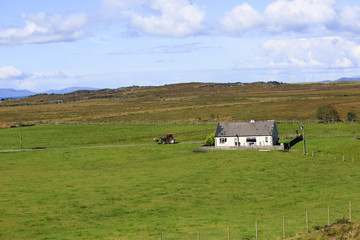 Wall Mural - Farmland