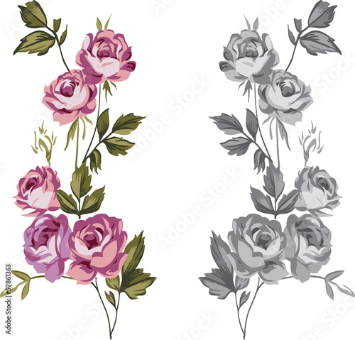 Obraz w ramie Decorative roses